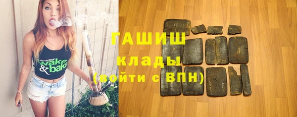 индика Алзамай