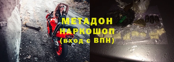 индика Алзамай