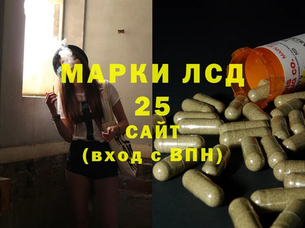 индика Алзамай