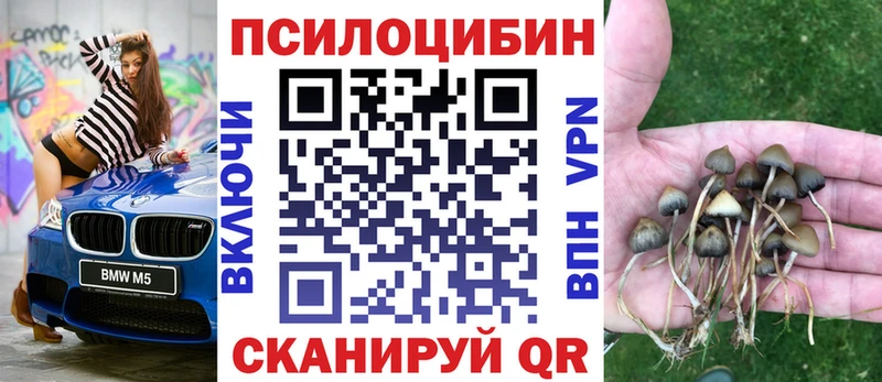 где купить наркоту  Спасск-Рязанский  Псилоцибиновые грибы мицелий 